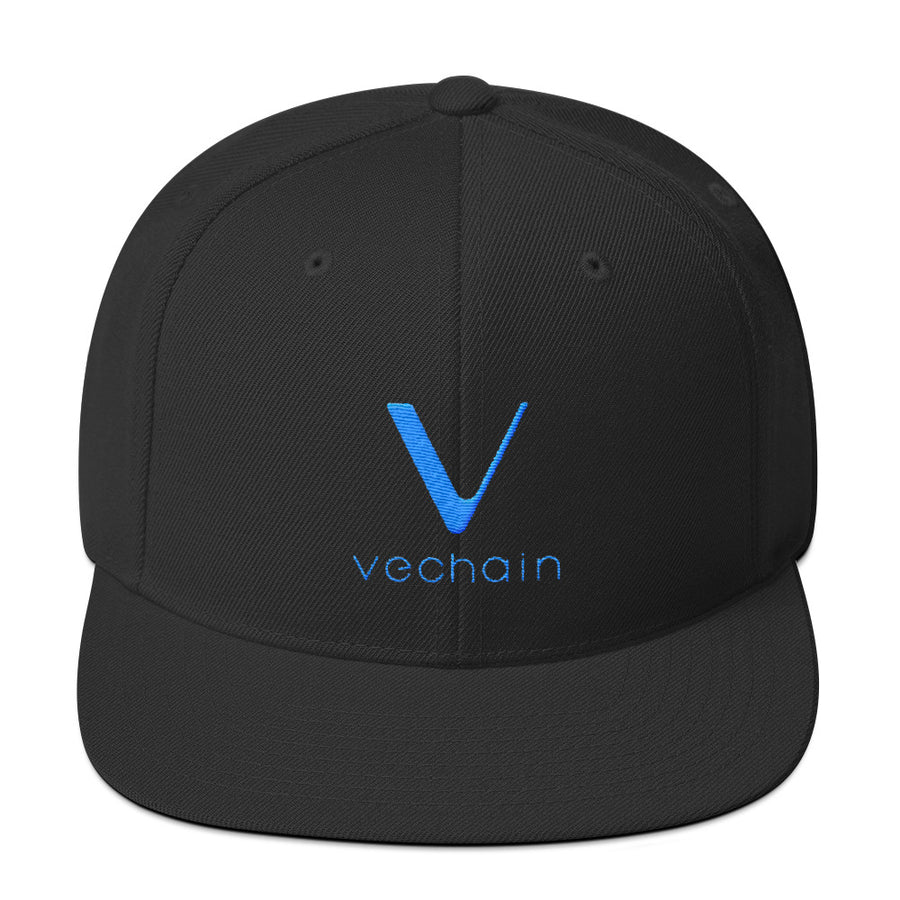Snapback VeChain Hat